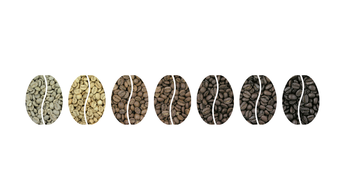 Coffee Roast Levels Explained Light to Dark Roasts - De La Finca Coffee Importers