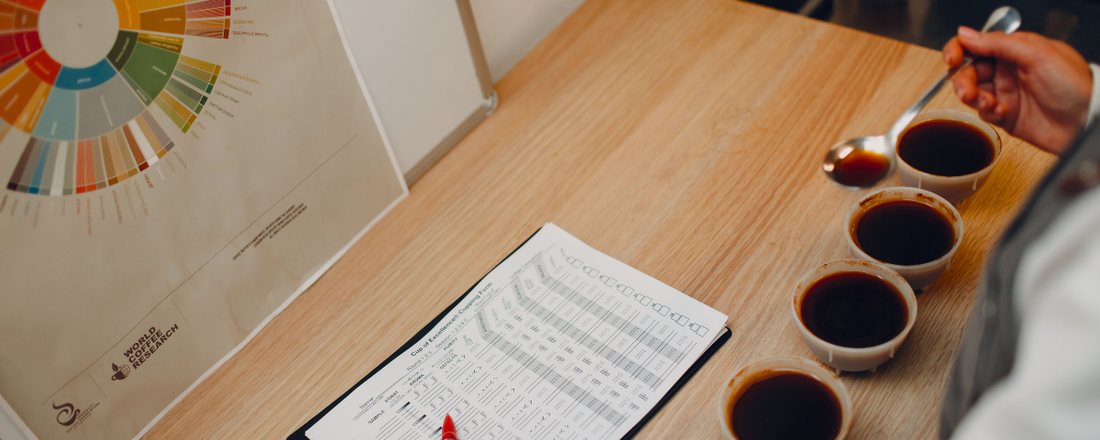 How to Describe Coffee Flavor Profiles to Customers - De La Finca Coffee Importers
